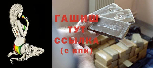 гашик Мегион