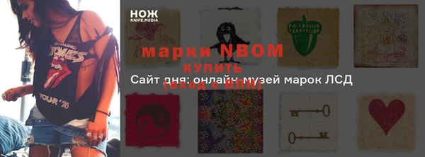 гашик Мегион