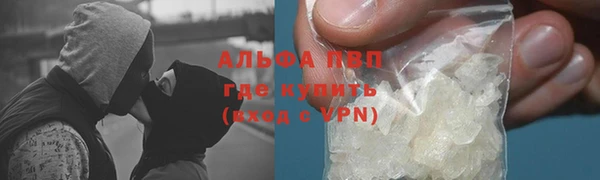 гашик Мегион