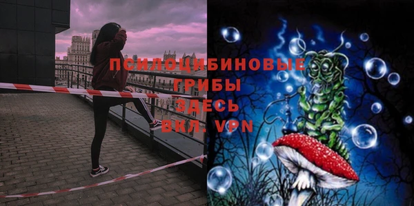 гашик Мегион