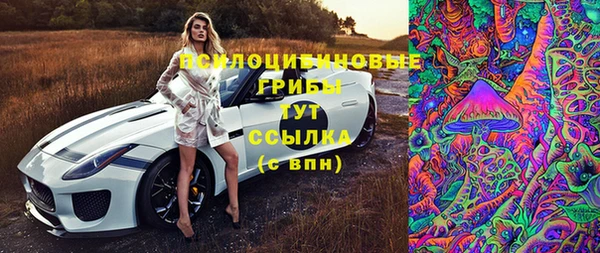 прущая мука Медногорск