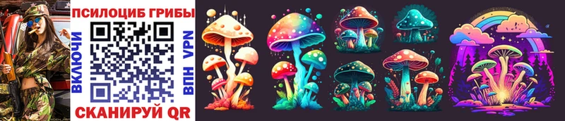 ОМГ ОМГ Северо-Курильск Галлюциногенные грибы Cubensis